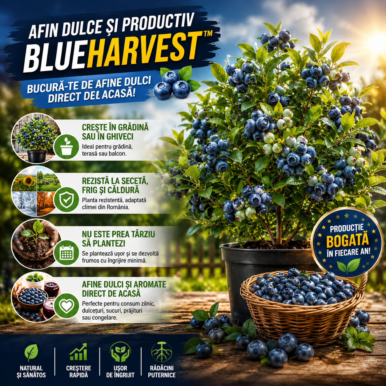 Afin Dulce și Productiv- BlueHarvest™
